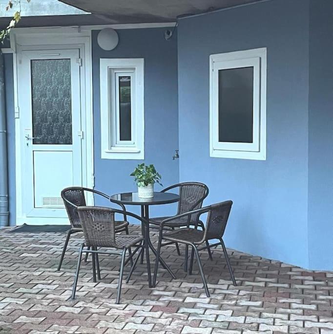 Colmar,Appart Chaleureux 2 Pas Centre Avec Jardin Экстерьер фото